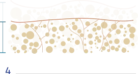 Works Img07